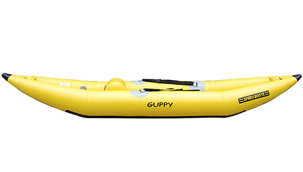 Guppy – Bild 3
